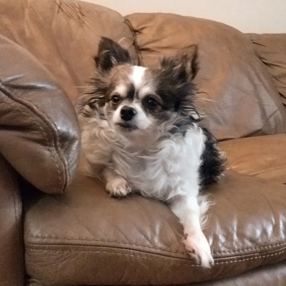 Meet your Posher, Gwen - Picture 2 of 2